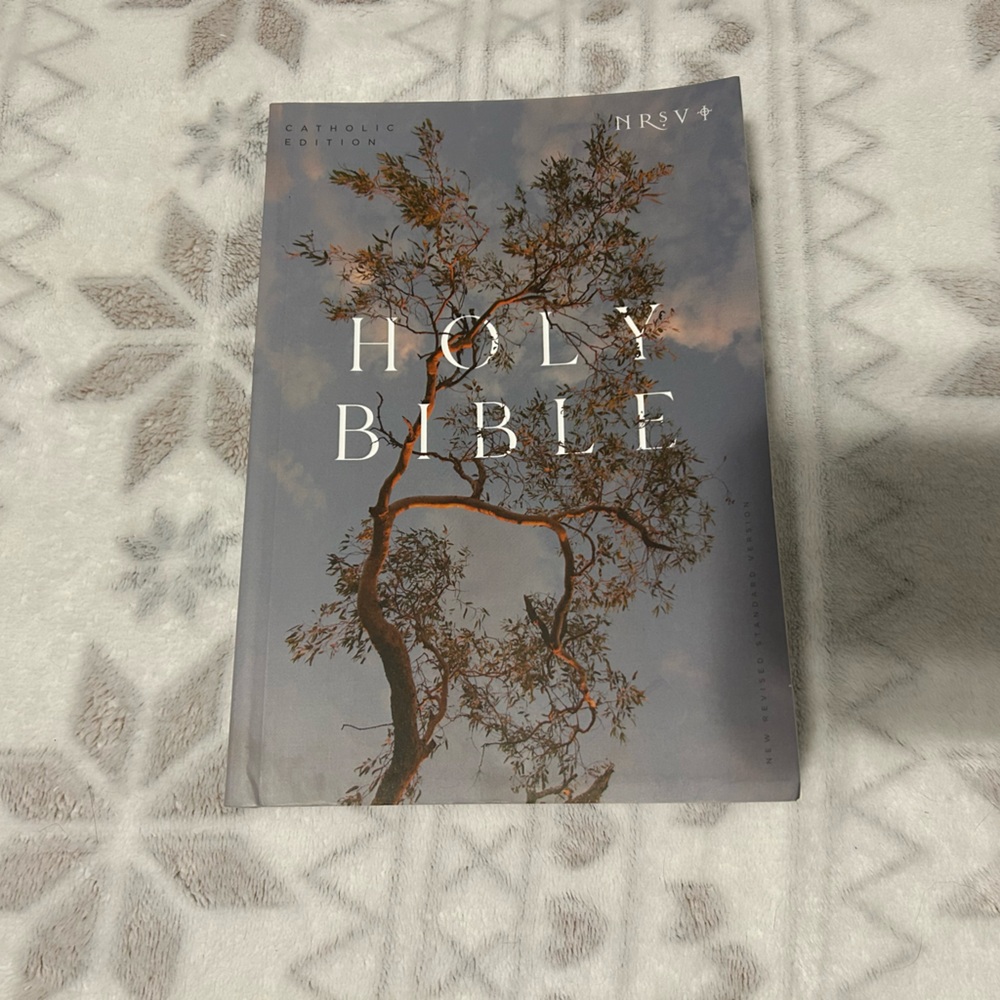 Decorative Gray Holy Bible